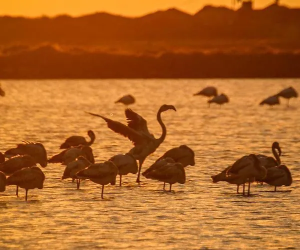 Santa Venera Villa Marsala